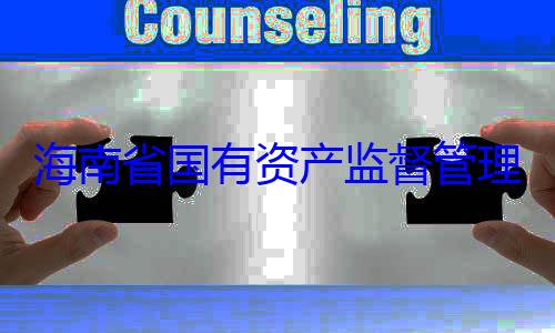 资产监督管委副书记王海南省国有查调查有福接受审理委员会党